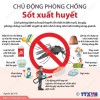 Phòng chống bệnh sốt xuất huyết trong mùa hè