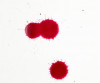 Screenshot 32