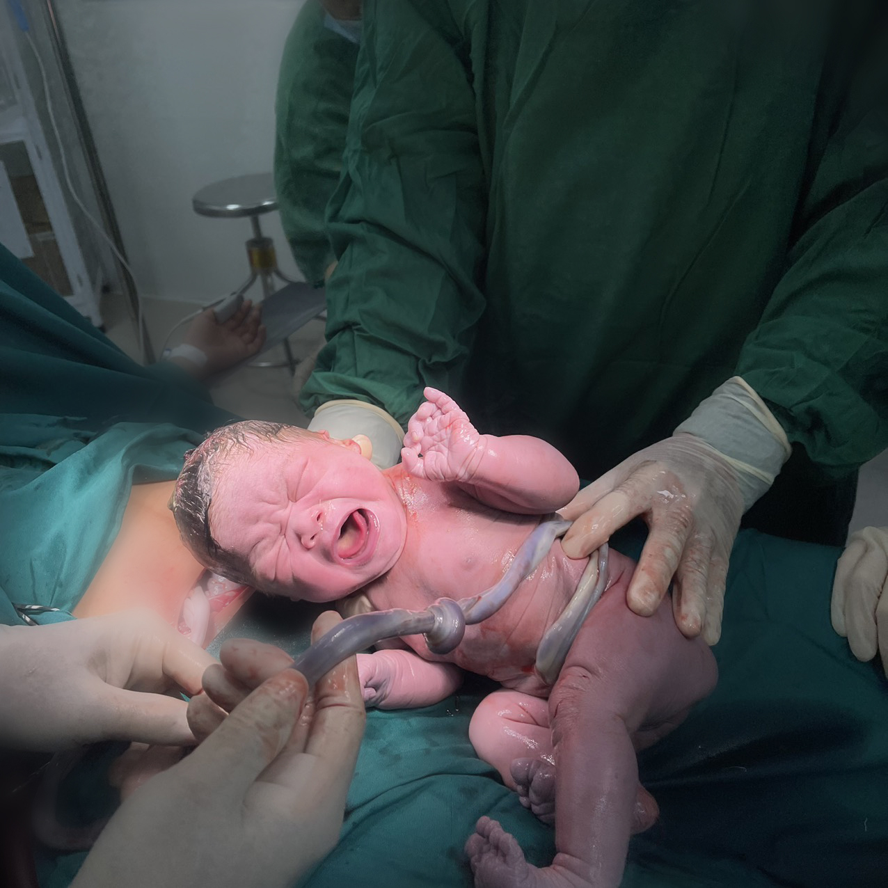 325333943 1184387658880244 4163446337204381763 n