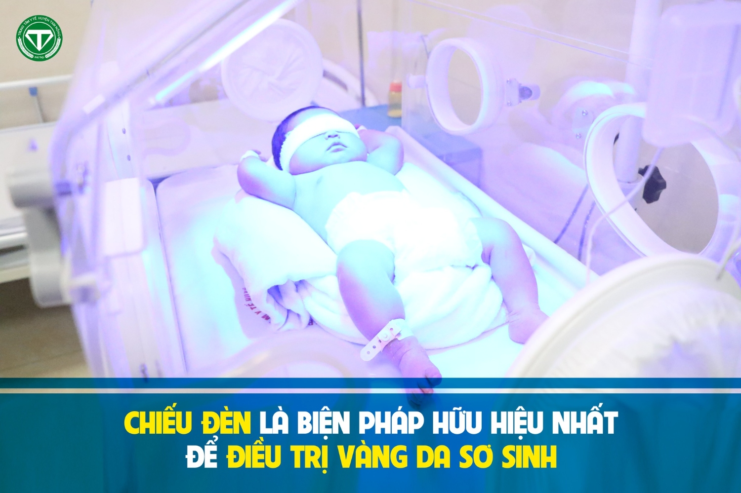 327979646 522807773168967 2414643325409579492 n