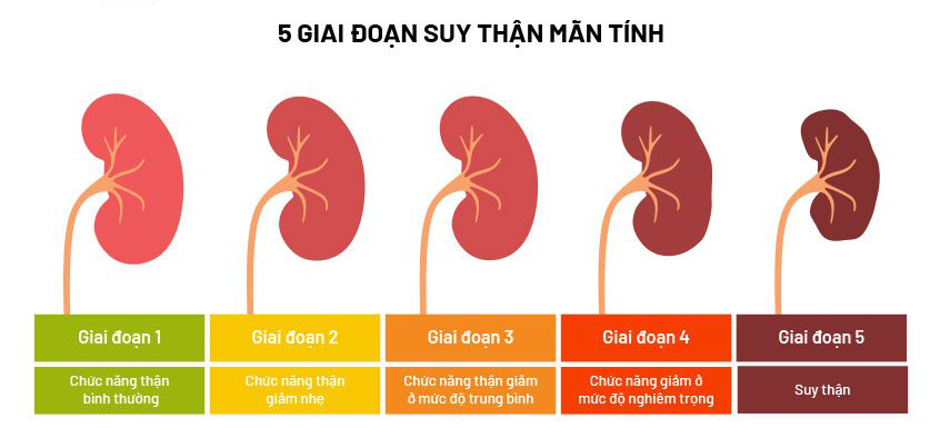 cac giai doan suy than man e1642993850953