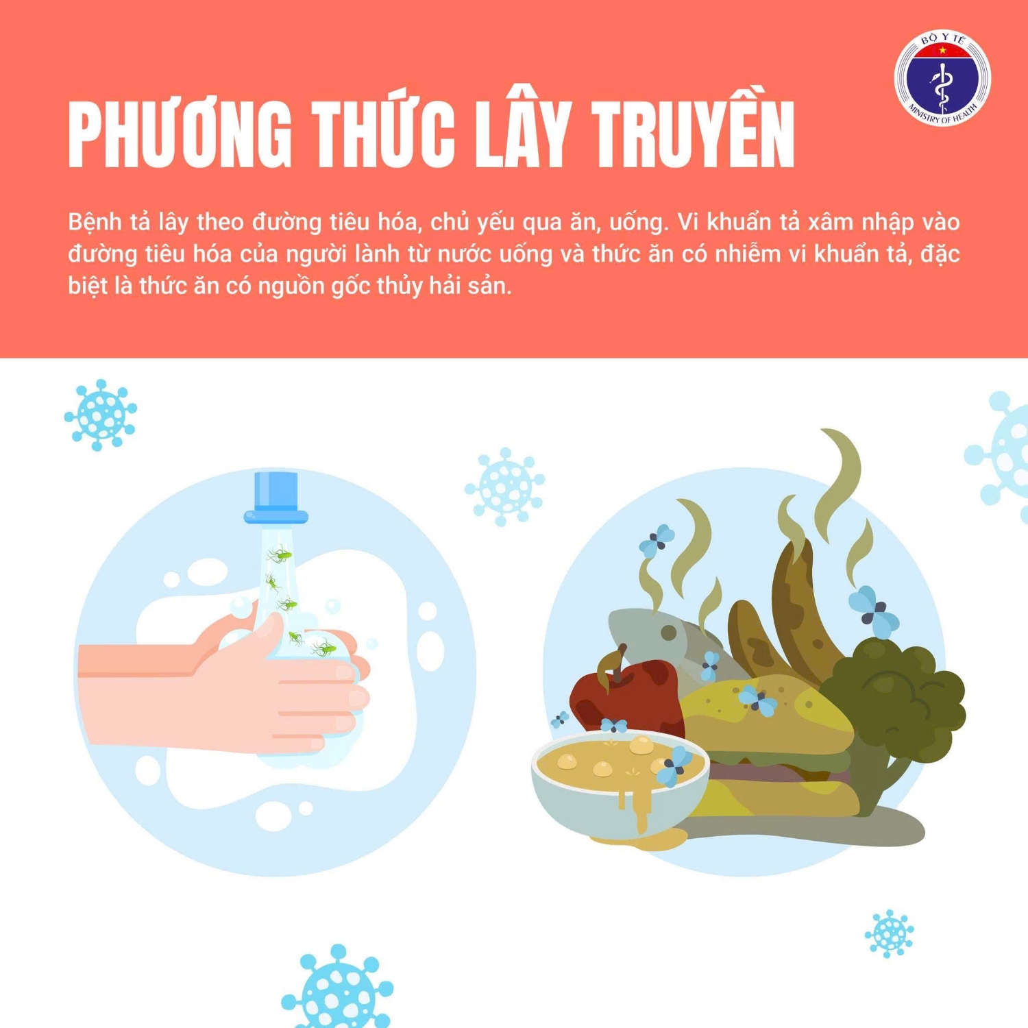 545586985 1439265854587278 4991659482523189952 n