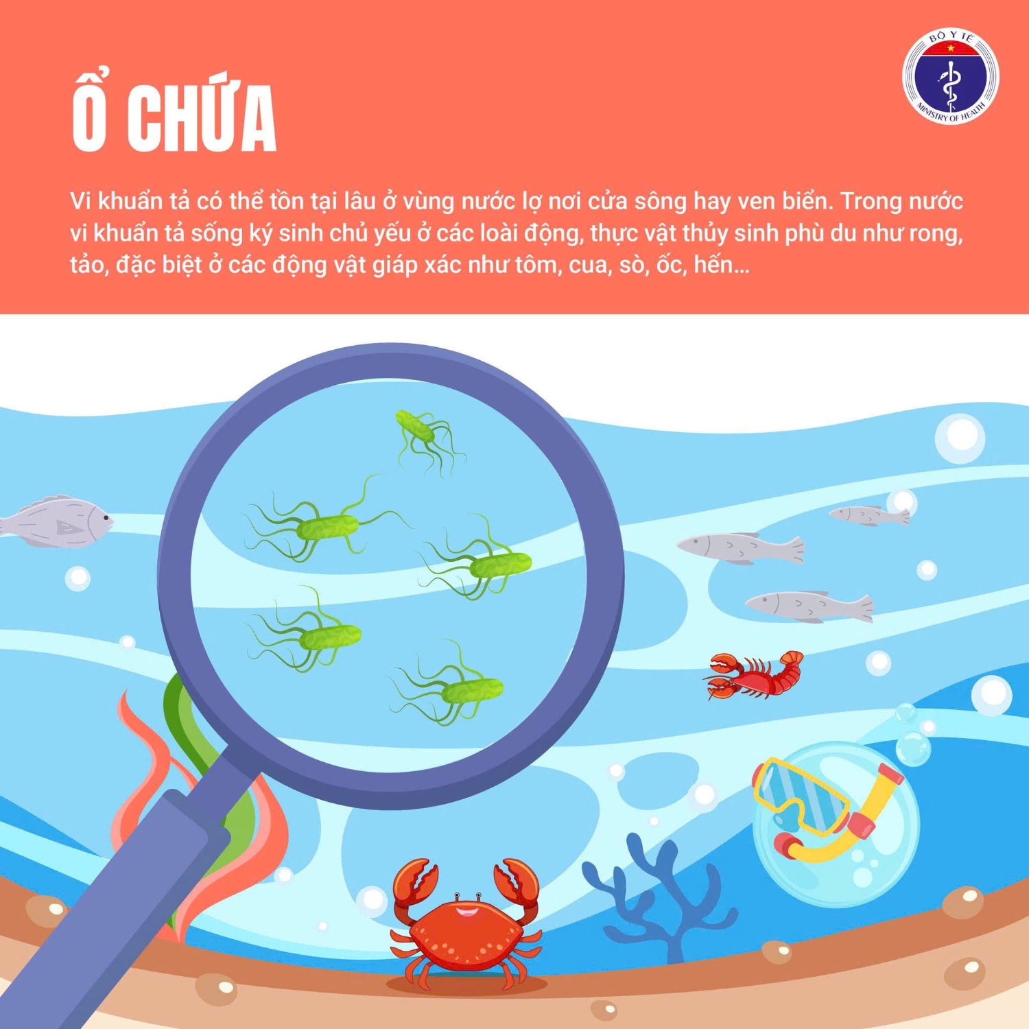 546195225 1439265874587276 3628347264560069547 n